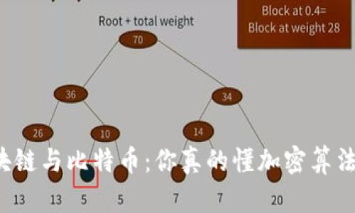 区块链与比特币：你真的懂加密算法吗？