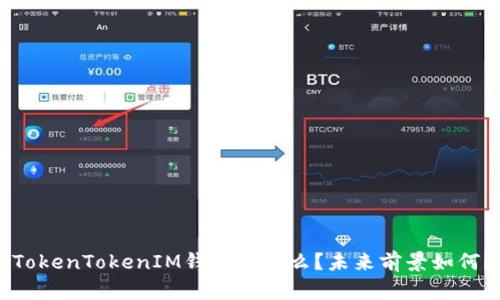 「TokenTokenIM钱包是什么？未来前景如何？」