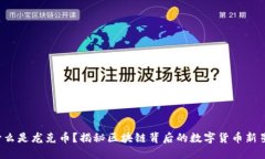 什么是龙克币？揭秘区块链背后的数字货币新星