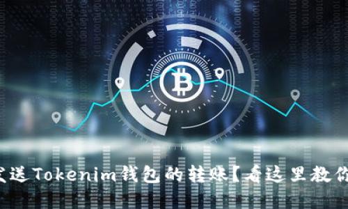 如何重新发送Tokenim钱包的转账？看这里教你轻松搞定！