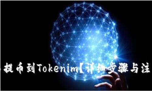 如何从欧易提币到Tokenim？详细步骤与注意事项一览