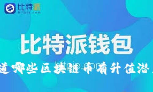 你知道哪些区块链币有升值潜力吗？