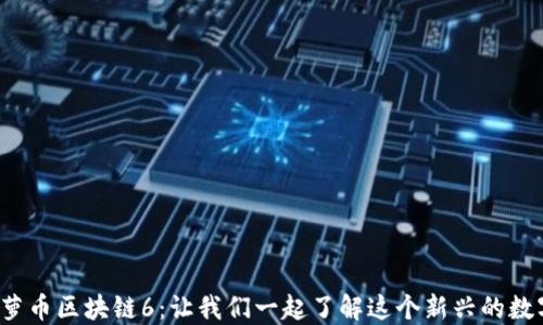 
探索菠萝币区块链6：让我们一起了解这个新兴的数字货币！