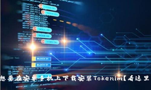 想要在安卓手机上下载安装Tokenim？看这里！