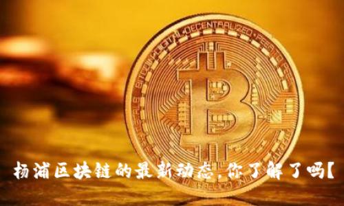 杨浦区块链的最新动态，你了解了吗？