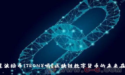 你知道波场币（TRON）吗？区块链数字货币的未来在哪里？