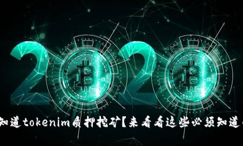 : 想知道tokenim质押挖矿？来看看这些必须知道的事！
