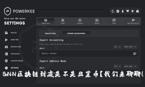 BNN区块链到底是不是韭菜币？我们来聊聊！