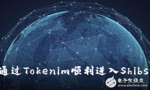 如何通过Tokenim顺利进入Shibswap？
