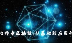 全面解析比特币区块链：从基础到应用的深入探