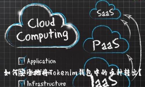 如何安全地将Tokenim钱包中的币种转出？