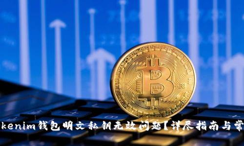 如何解决Tokenim钱包明文私钥无效问题？详尽指南与常见问题解答