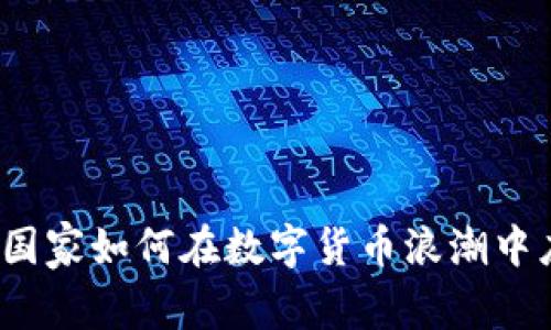 区块链币：国家如何在数字货币浪潮中应对与创新