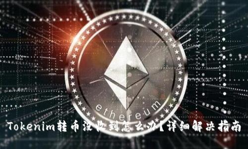 Tokenim转币没收到怎么办？详细解决指南