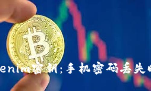 如何找回Tokenim密钥：手机密码丢失时的解决方案
