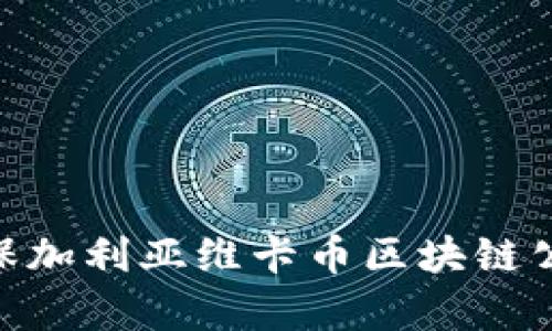 : 全面解析保加利亚维卡币区块链公司及其影响