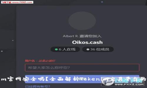Tokenim官网安全吗？全面解析Tokenim交易平台的安全性