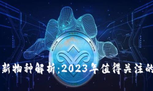区块链最新物种解析：2023年值得关注的四大种类
