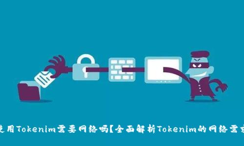 使用Tokenim需要网络吗？全面解析Tokenim的网络需求