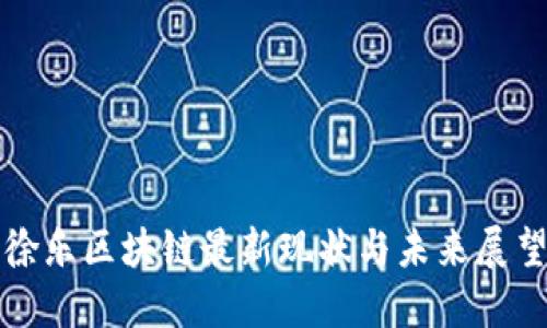 徐乐区块链最新现状与未来展望