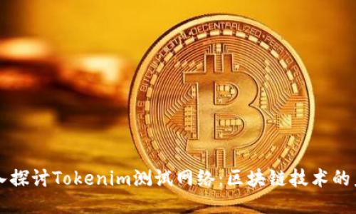 深入探讨Tokenim测试网络：区块链技术的未来
