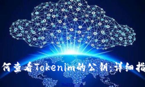 如何查看Tokenim的公钥：详细指南