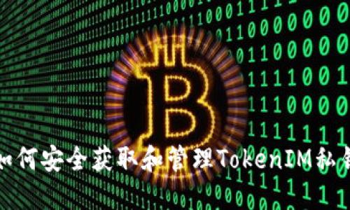 如何安全获取和管理TokenIM私钥