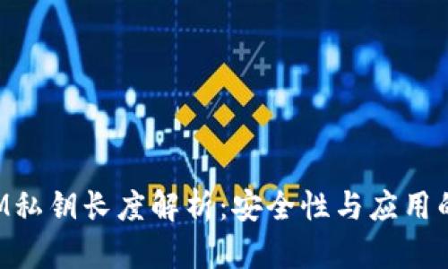 TokenIM私钥长度解析：安全性与应用的重要性