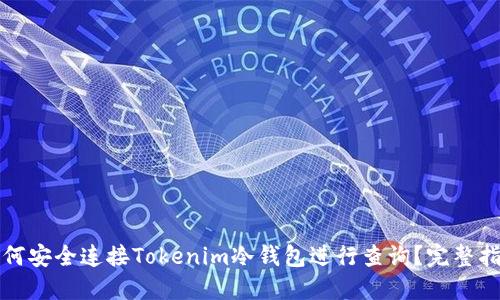 如何安全连接Tokenim冷钱包进行查询？完整指南