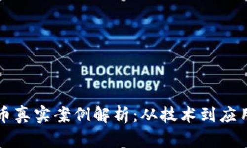 区块链虚拟币真实案例解析：从技术到应用的全景视野