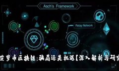 菠萝币区块链：骗局还是机遇？深入解析与研究